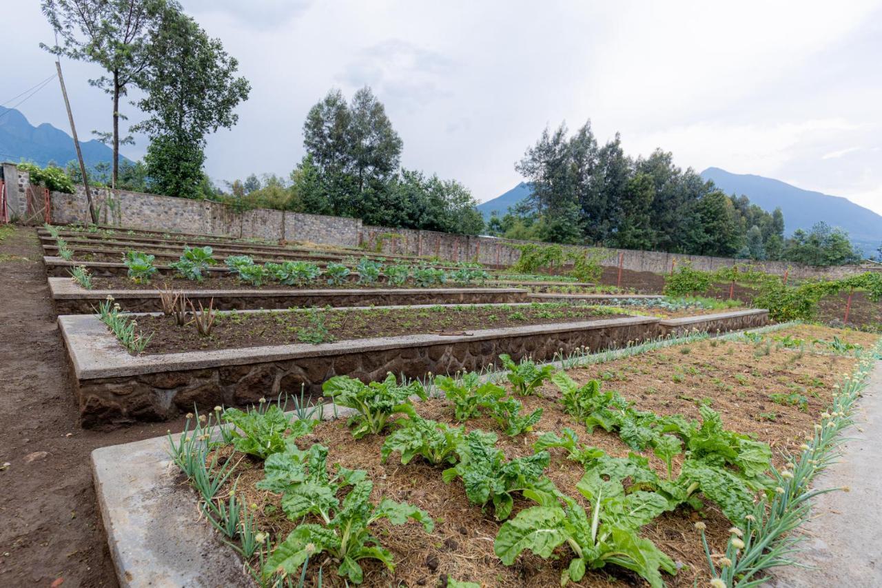 Foothills Farmhouse Musanze, Rwanda Kinigi 外观 照片
